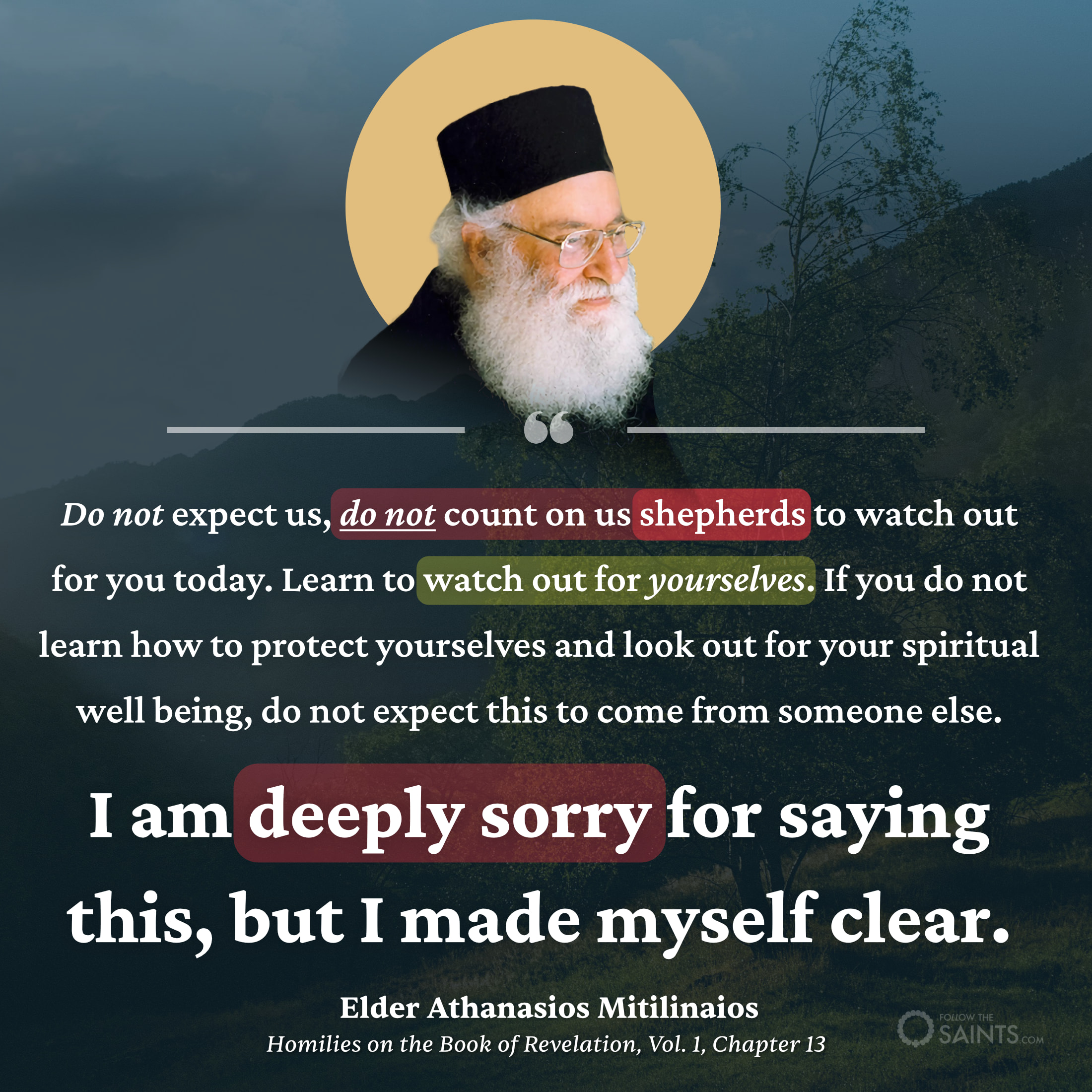 Don't expect us shepherds to watch out for you - Elder Athanasios Mitilinaios