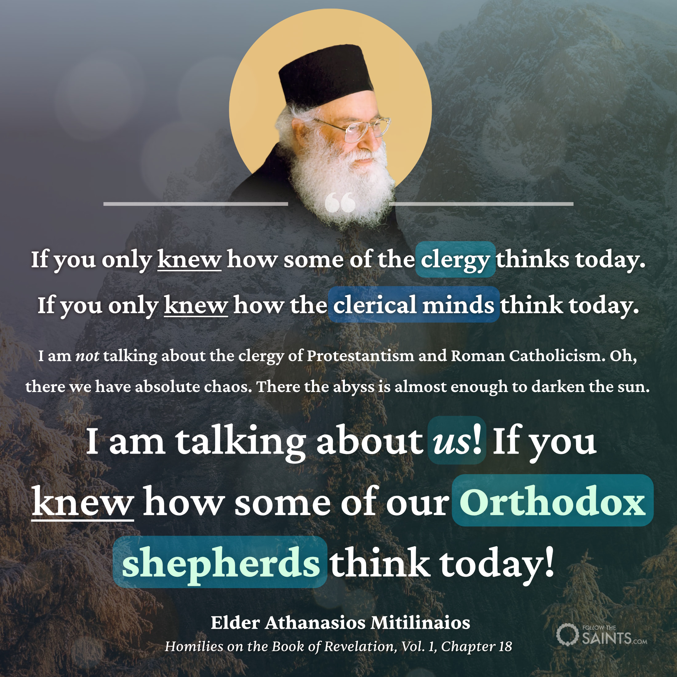 If you only knew how some of the clergy think today - Elder Athanasios Mitilinaios
