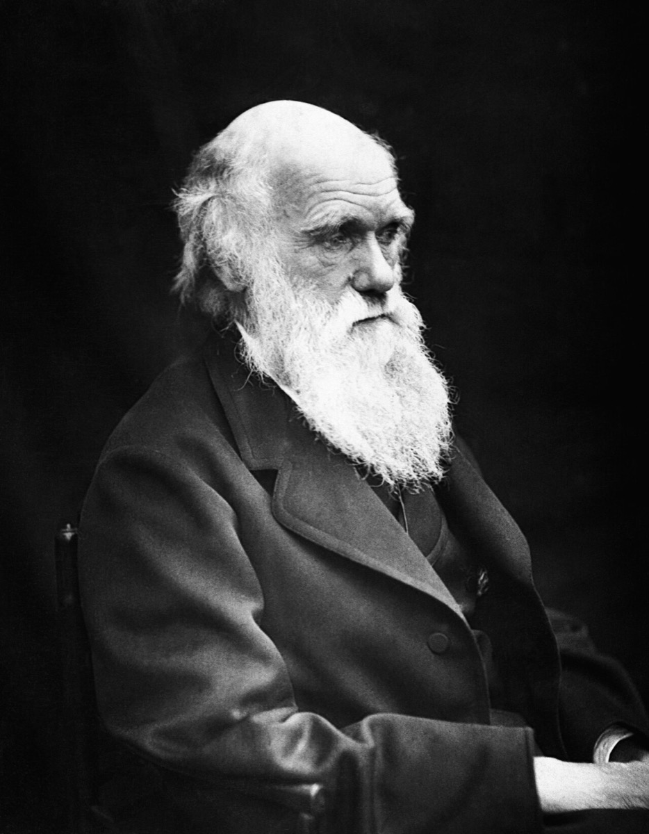 Charles Darwin in his later years